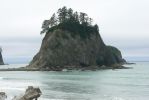 PICTURES/Rialto Beach/t_P1260842.JPG